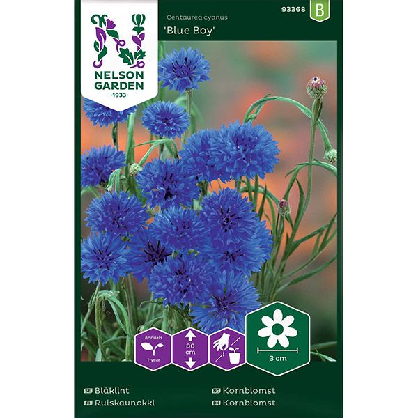 Blåklint, Blue Boy, blå, v30