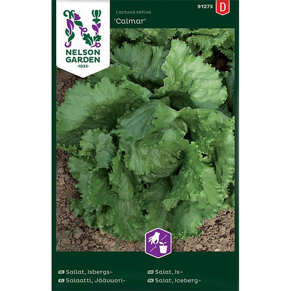 Sallat, Isbergs-, Calmar, v30