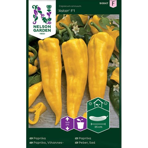 Paprika, Astor F1, v13