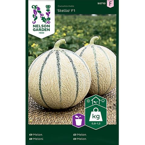 Melon, Stellio F1, v22