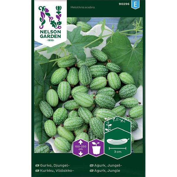 Gurka, Djungel-, v26