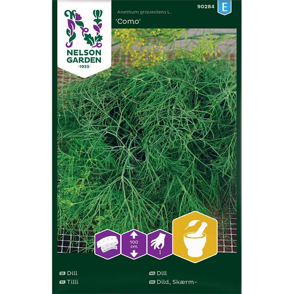 Dill, Vanlig, Como, Såband, v30
