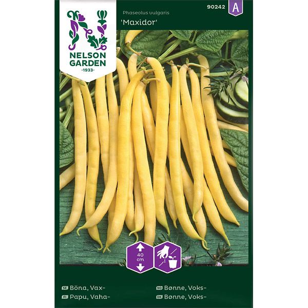 Böna, Vax-, Maxidor, v26
