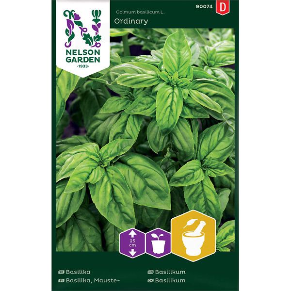 Basilika, Grön, v30