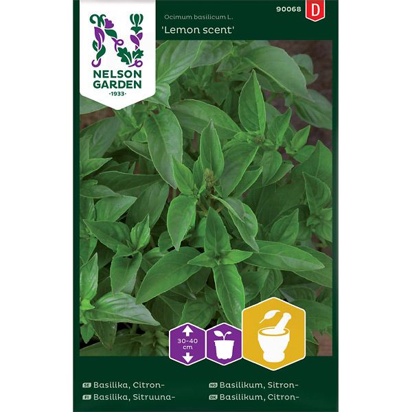 Basilika, Citron-, Lemon scent, v30