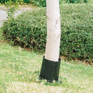 Trimningsskydd för träd