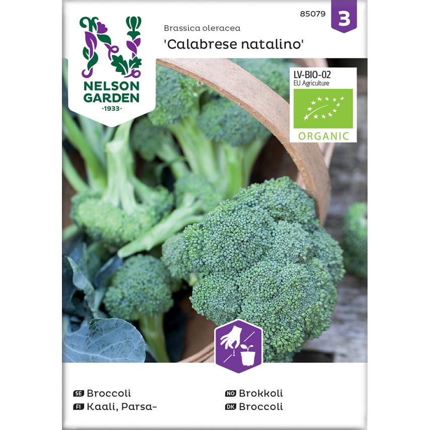 Broccoli, Calabrese natalino, Organic