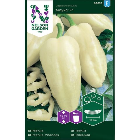 Paprika, Amyka F1, vit, v13