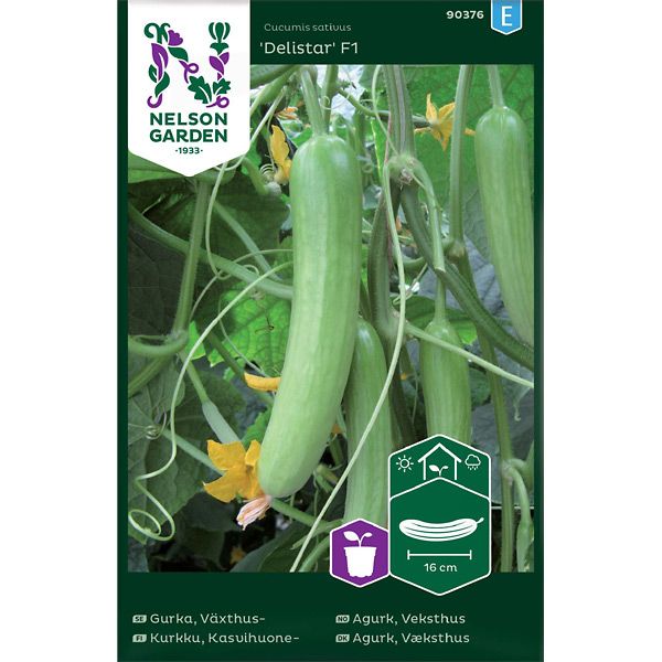 Gurka, Växthus-, Delistar F1, v22