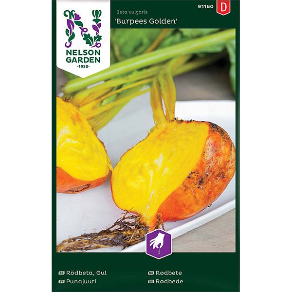 Rödbeta, Burpees Golden, v26