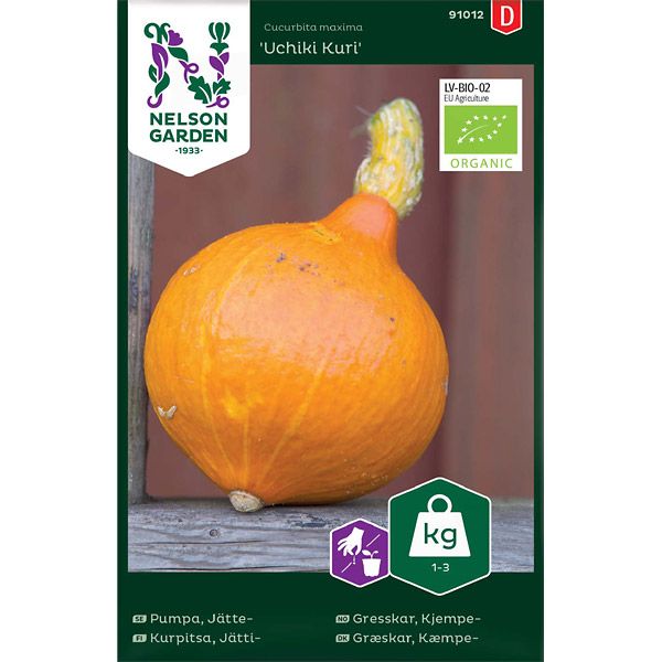 Pumpa, Jätte-, Uchiki Kuri, Organic, v26