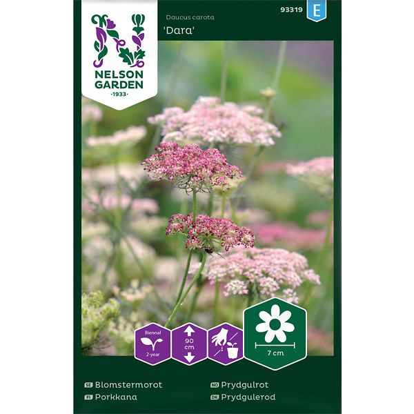 Blomstermorot, Dara, v22