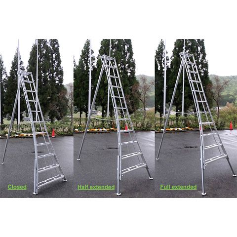 ARS Stege med justerbara ben