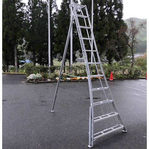 ARS Stege med justerbara ben