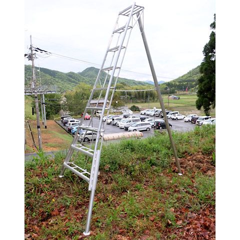 ARS Stege med justerbara ben