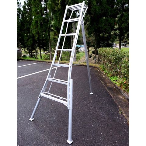 ARS Stege med justerbara ben