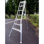 ARS Stege med justerbara ben