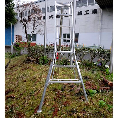 ARS Stege med justerbara ben