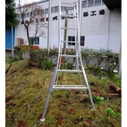 ARS Stege med justerbara ben