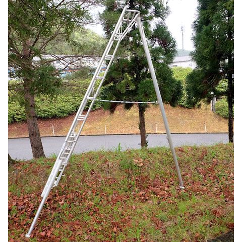 ARS Stege med justerbara ben