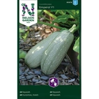 Squash, Emperol F1, v24