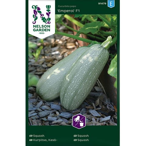 Squash, Emperol F1, v24