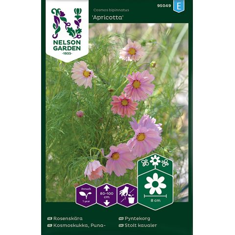 Rosenskära, Apricotta, v22