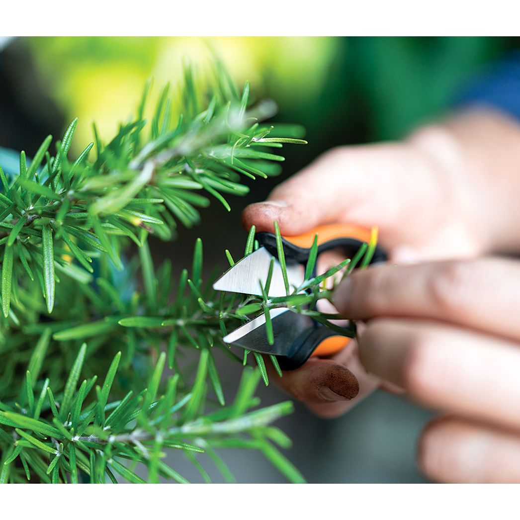 Fiskars Örtsax Snip SP220