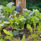 Gardena Smart Fuktighets Sensor