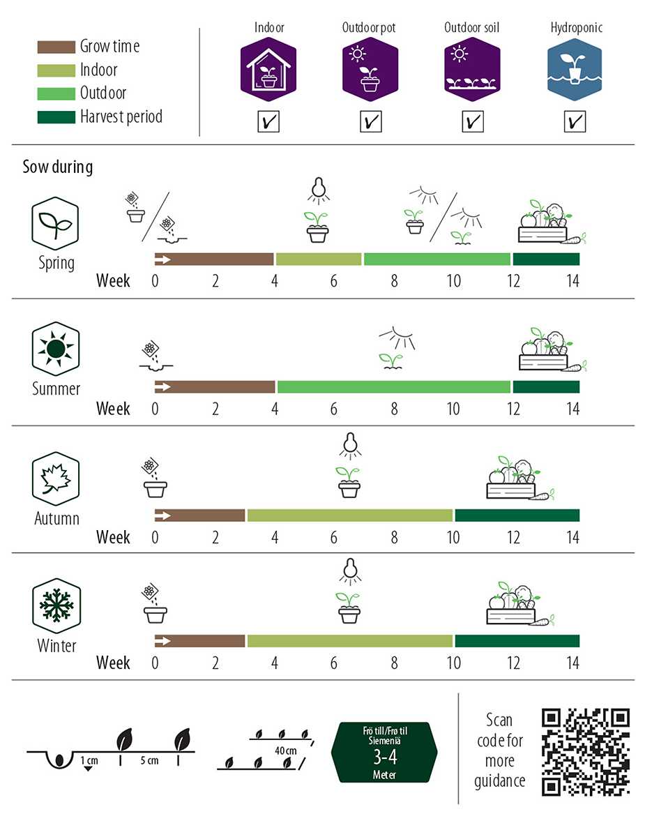 Persilja, Blad Gigan.d ´Italia  Organic, v30