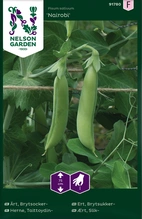 Ärt, brytsocker Nairobi v26