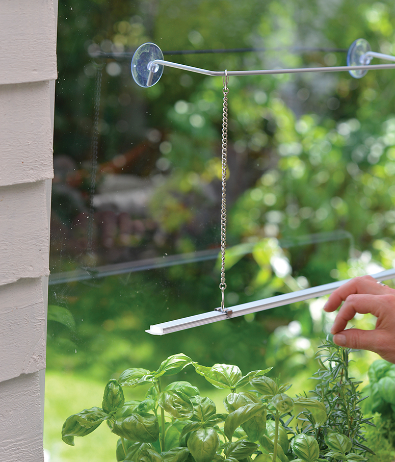 Växtbel hängare sugproppar