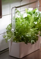 Ledrampshållare till Harvy, justerbar