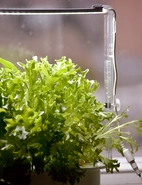 Ledrampshållare till Harvy, justerbar