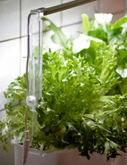 Ledrampshållare till Harvy, justerbar