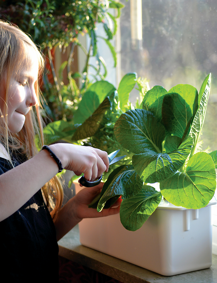 Startpaket hydroponisk odling Harvy3 vit 39cm