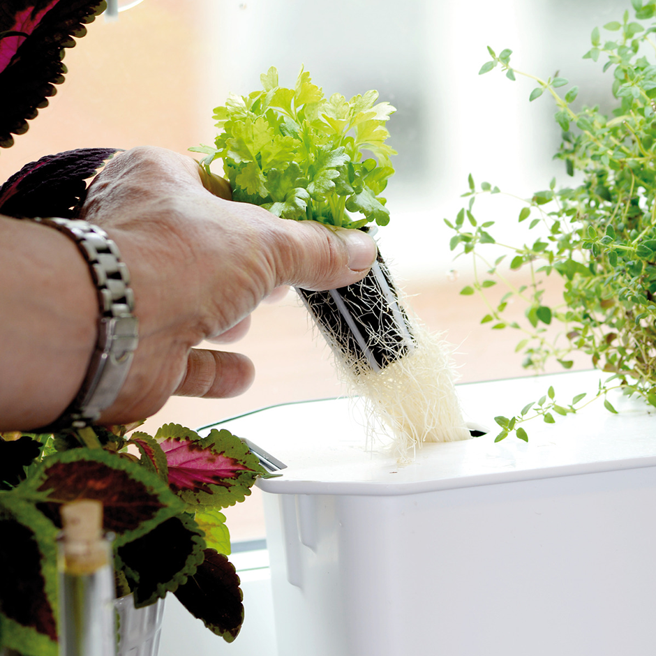 Startpaket hydroponisk odling Harvy3 vit 39cm