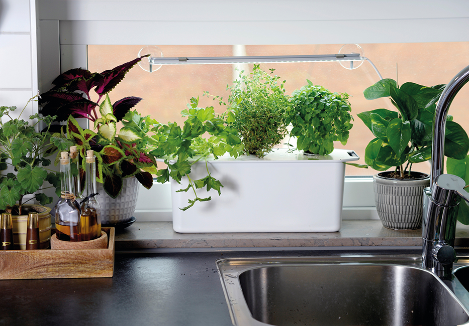 Harvy3 presentförpackning 3 delar