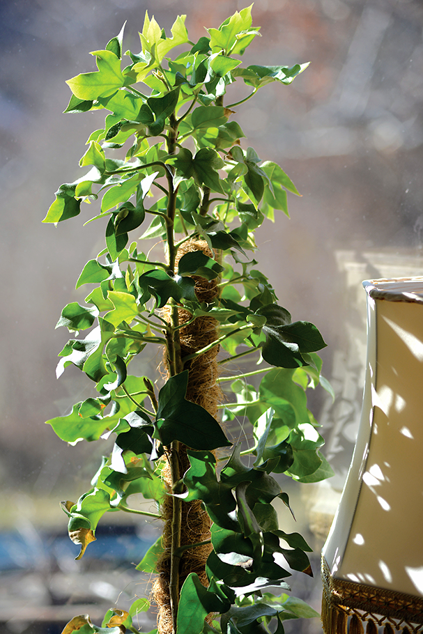 Växtstöd trä/kokos 90 cm