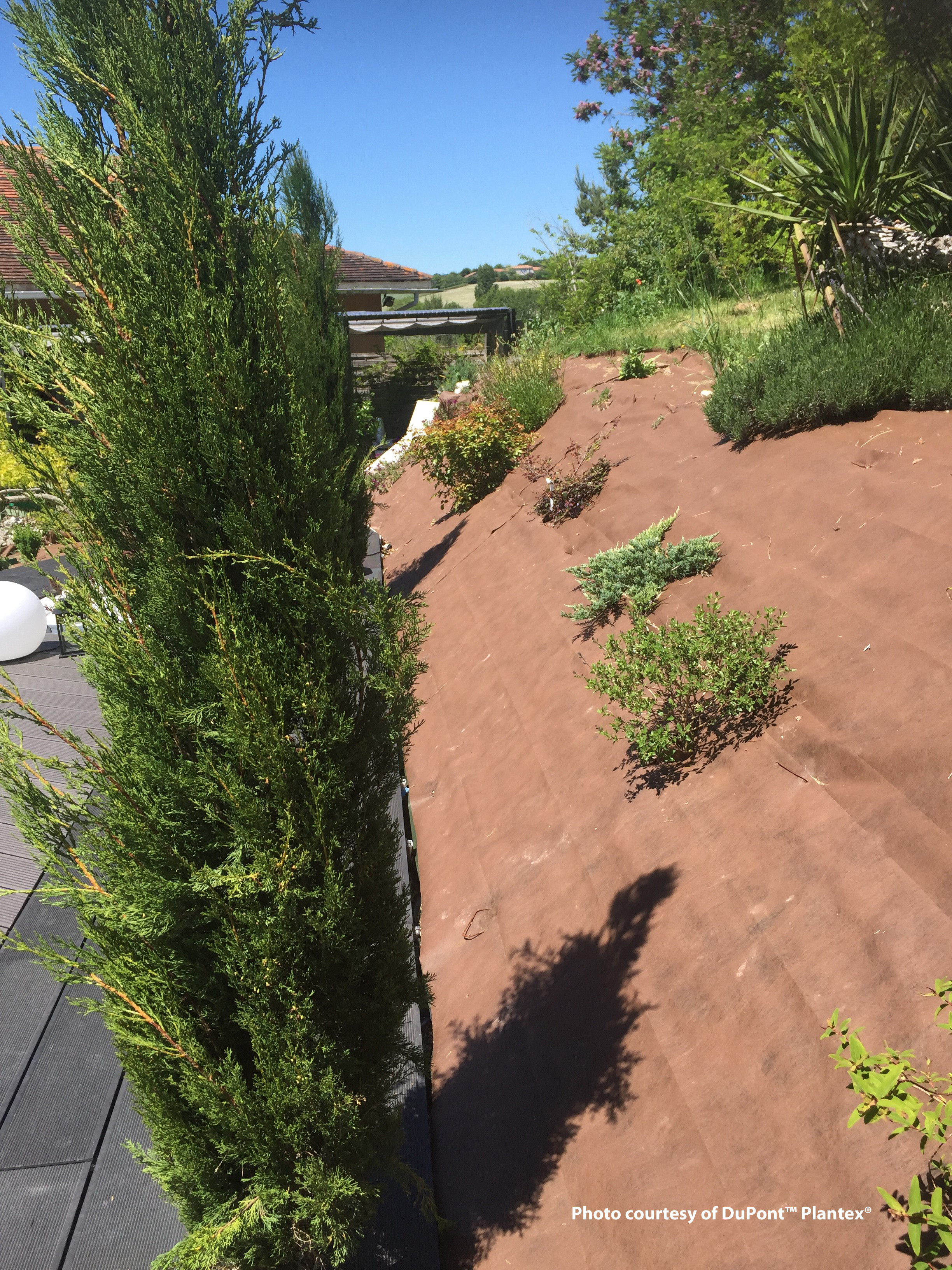 Plantex Gold 2x100m vikt: 125gr/m2