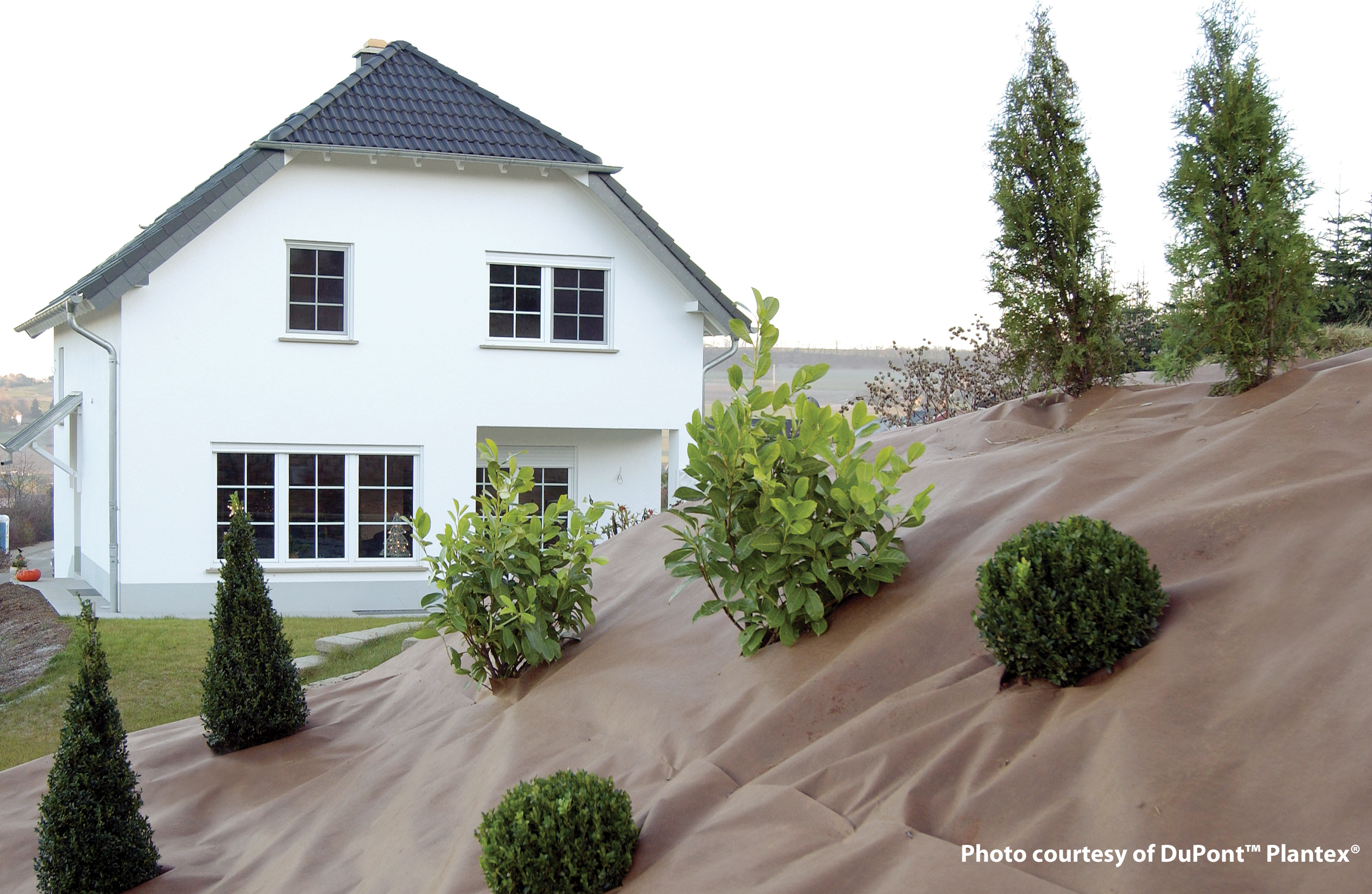 Plantex Gold 2x100m vikt: 125gr/m2