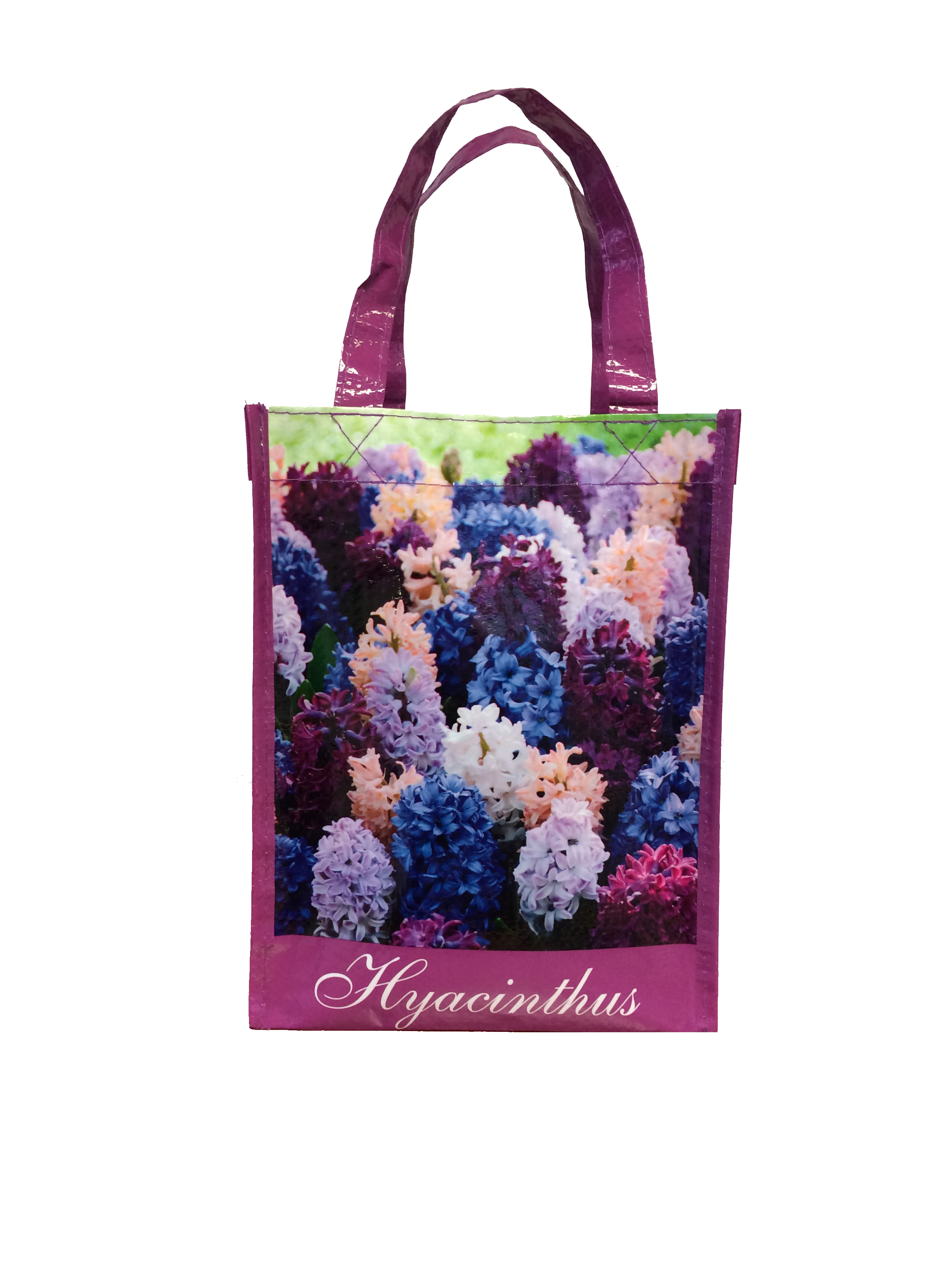 Hyacint Blandning Gift Bags (15st) 1516