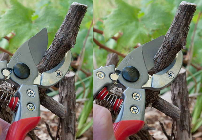 ARS-VA7Z, Sekatör pro Anvil small