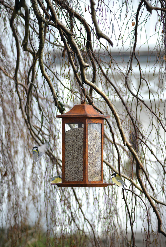 Fågelmatare frö Rusty 33cm