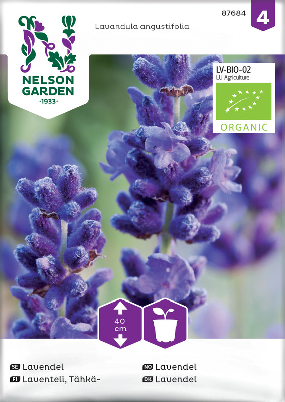 Lavendel, Organic v26