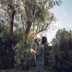 Fiskars Teleskopgrensax 2,3-4m UPX86