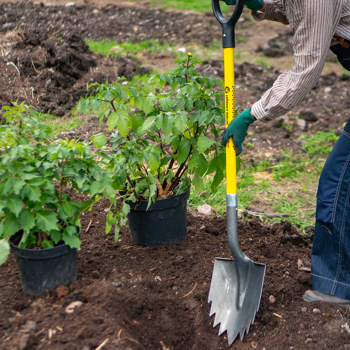 Hörby bruk Spade Extreme