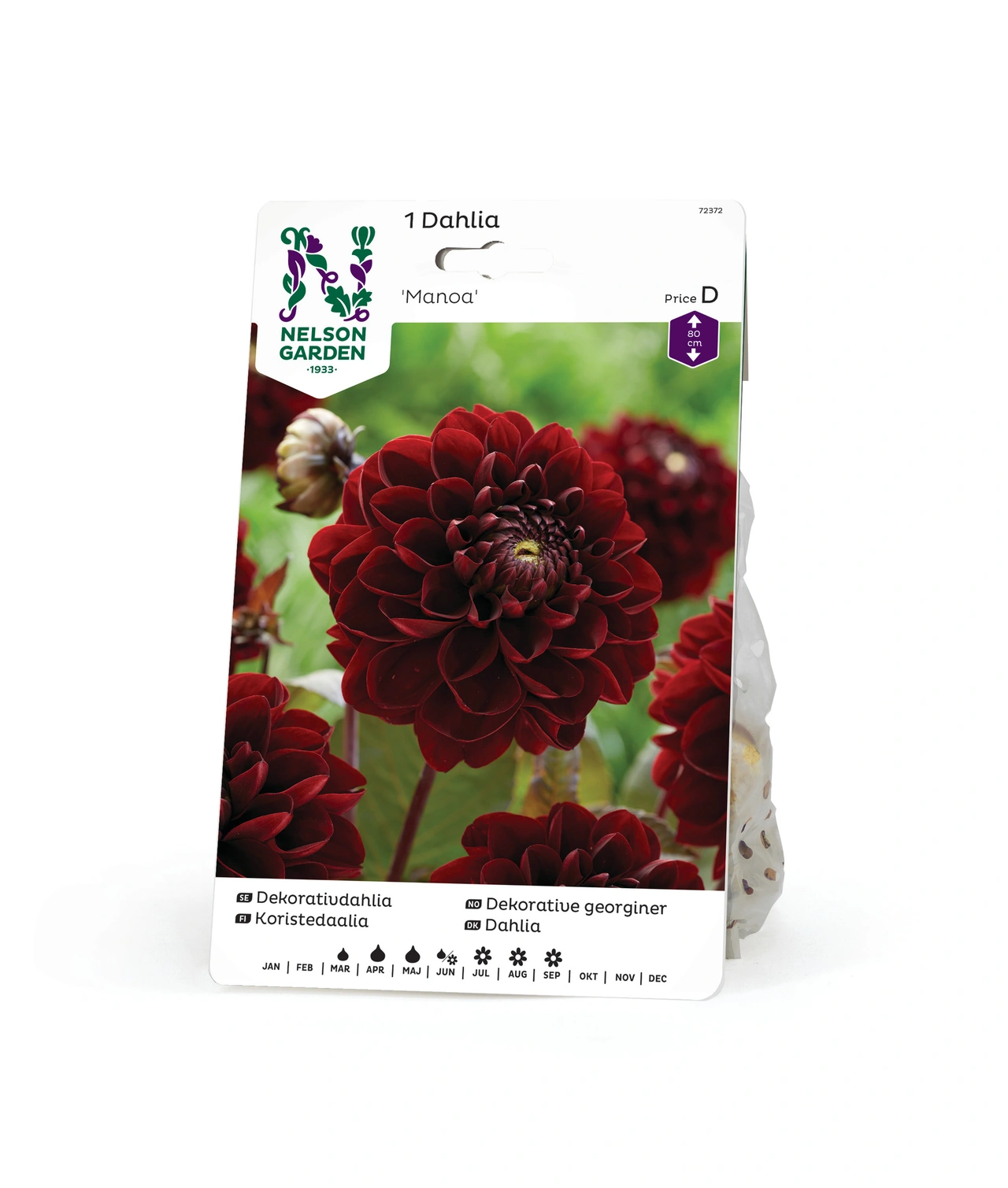 Dahlia Hög dek. Manoa röd 1st