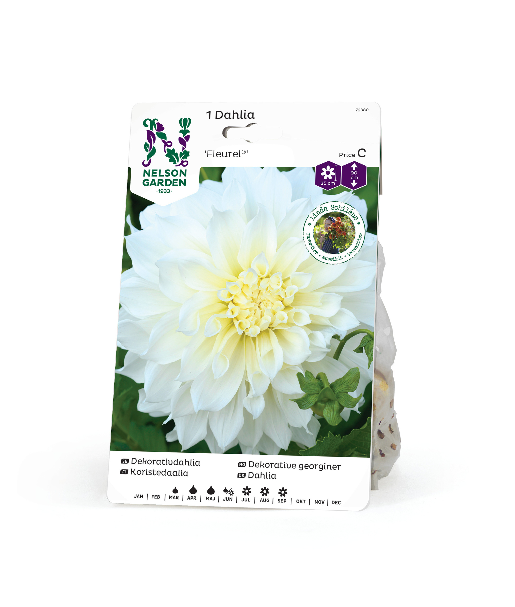 Dahlia Hög dek. Fleurel, vit 1st