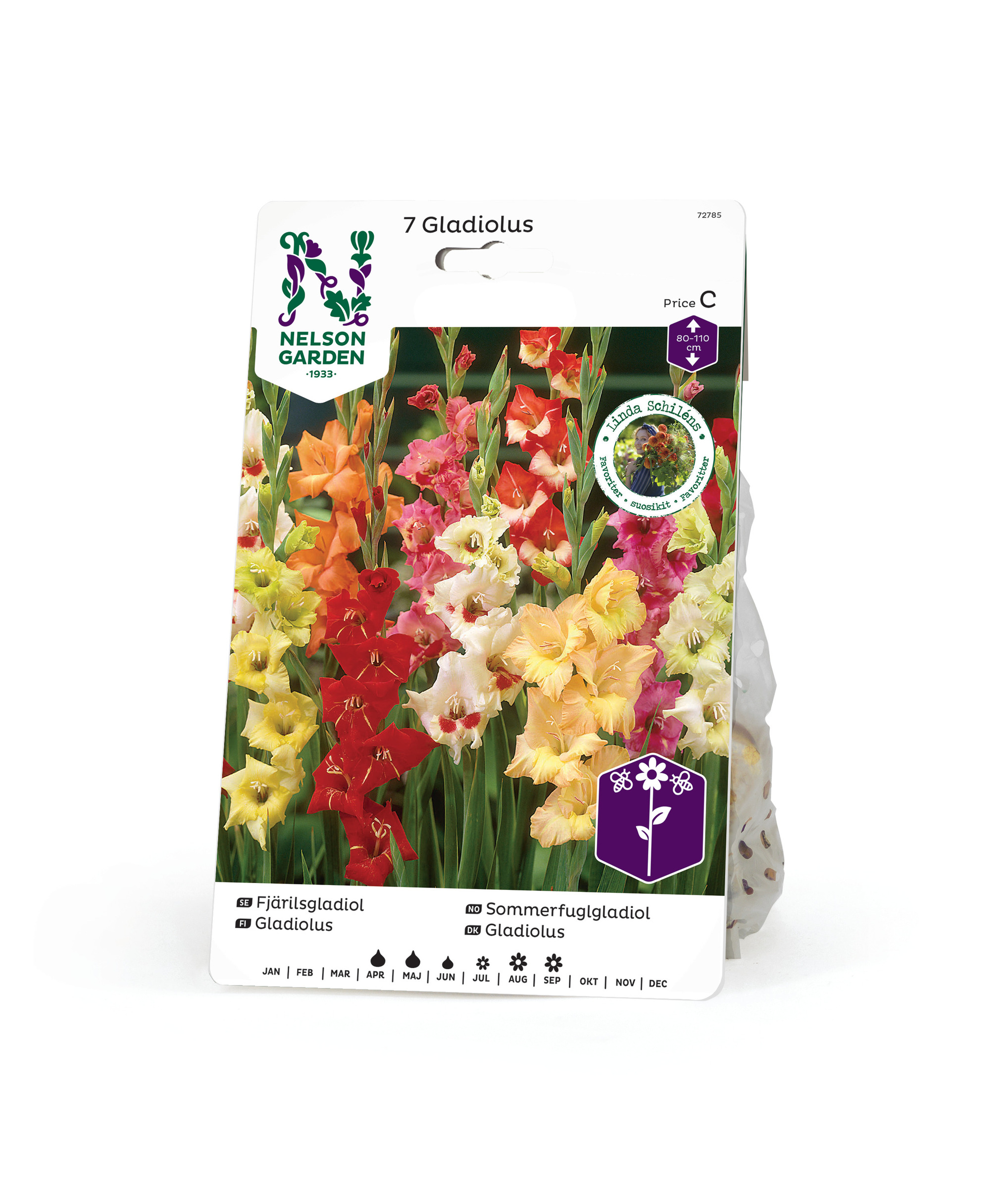 Gladiol, Fjärils-, bland. färger 7st